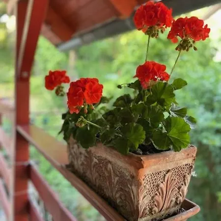 Boni Appartamento Miskolc