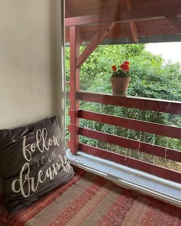 Apartment Boni *
