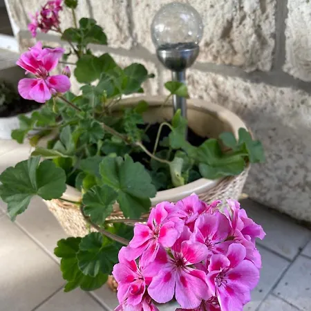 Boni Appartamento Miskolc