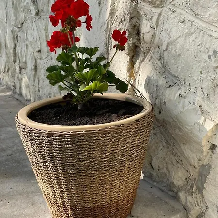 Boni Appartement