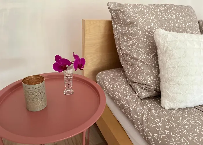 Boni 公寓 米什科尔茨