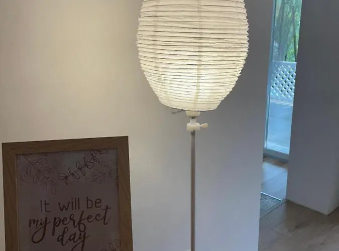 Boni 米什科尔茨