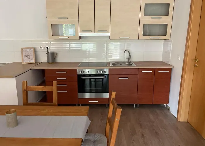 Boni 公寓 米什科尔茨