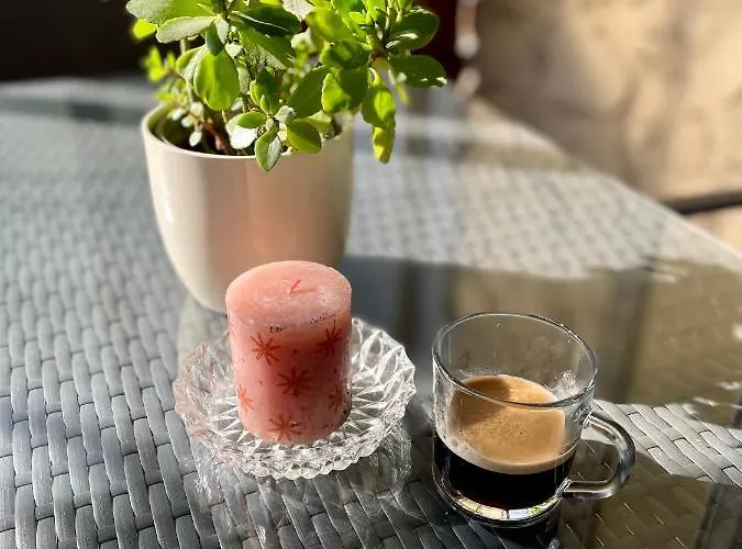 Boni * 米什科尔茨