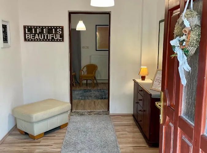 Boni * 米什科尔茨