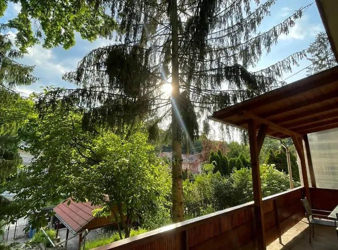 公寓 Boni 米什科尔茨